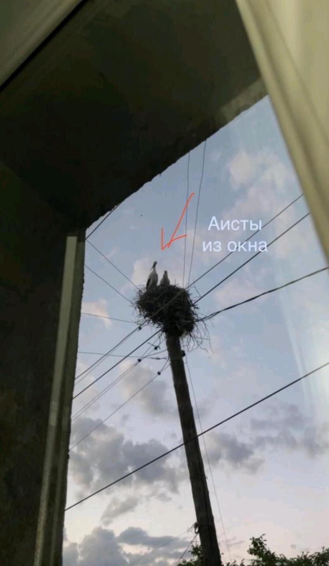 Liviti 호텔 Areni 외부 사진